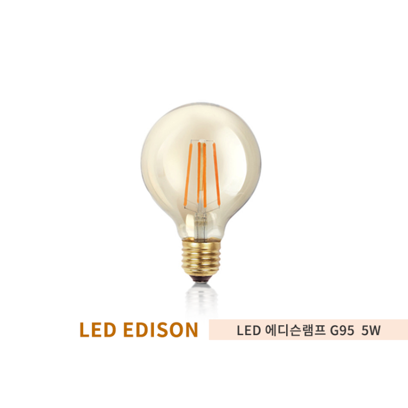 포커스 LED에디슨 G95 램프 5W